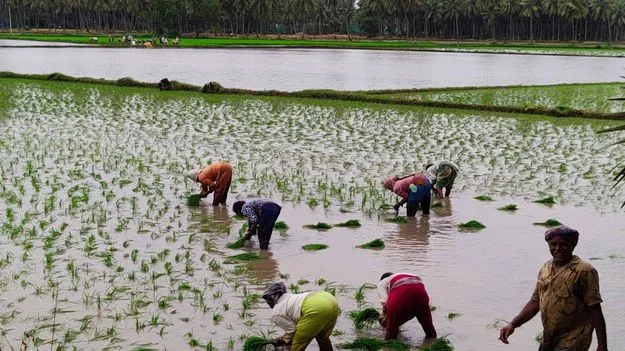 అన్నదాతా సుఖీభవకు అంతా సిద్ధం