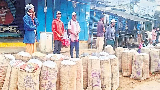 పెరిగిన వేరుశనగ ధర