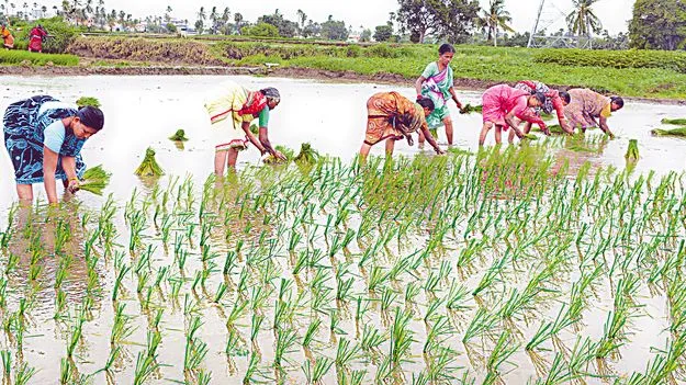 Aathmiya Bharosa: వారంలోనే ఆత్మీయ భరోసా