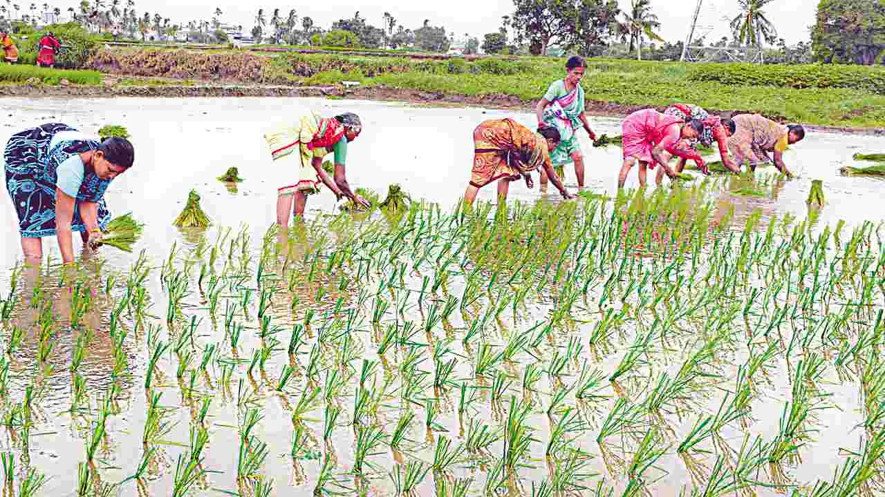 Aathmiya Bharosa: వారంలోనే ఆత్మీయ భరోసా