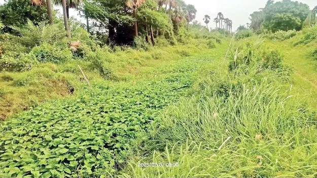 కాలువలు ఇలా.. పొలాలకు నీరెలా..?