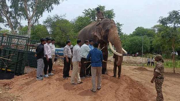 పలమనేరుకు ‘గణేష్‌’