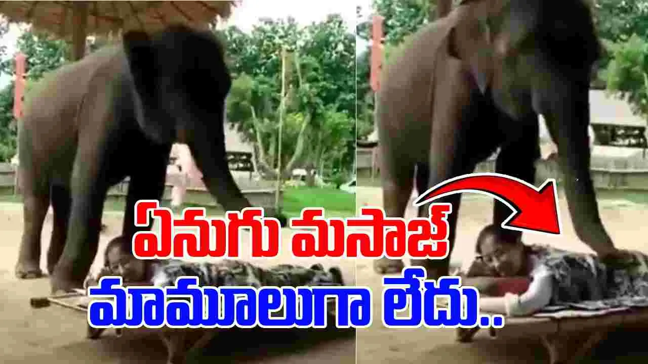 Viral Video: ఏనుగు మసాజ్ చేస్తే ఇలానే ఉంటుంది మరి..