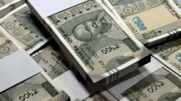 Savings: సేవింగ్స్ అకౌంట్‌లో మీ డబ్బు ఉందా.. అయితే మీరీ విషయాలు తప్పక తెలుసుకోవాలి