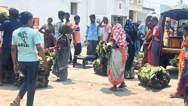 మాడపాకులతో ఉపాధి