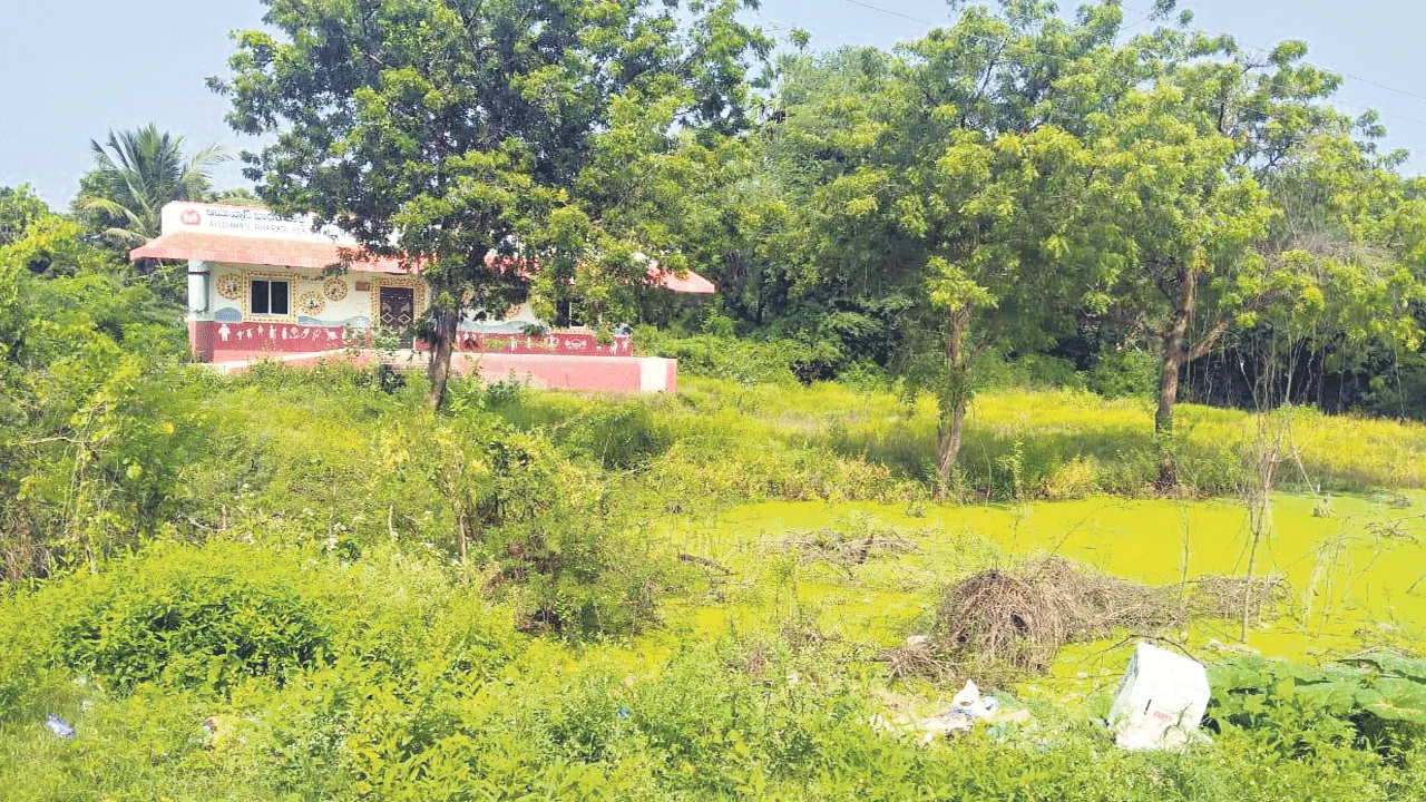 ఆరోగ్య ఉపకేంద్రంలో పాముల నివాసం