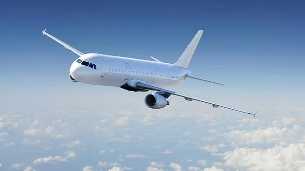 Fake Flight: భారీ స్కామ్.. ఫ్లైట్ అటెండెంట్గా నటించి ఉచిత విమాన ప్రయాణాలు