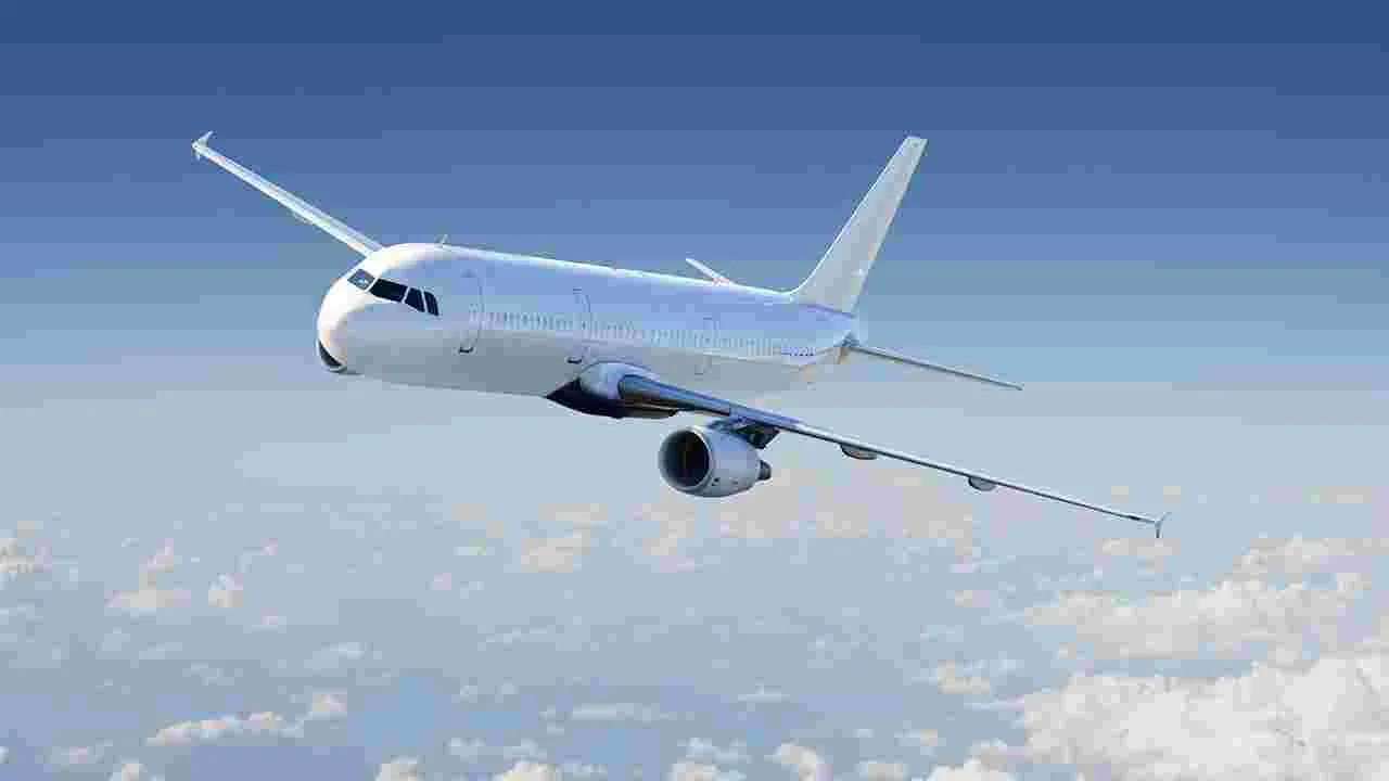 Fake Flight: భారీ స్కామ్.. ఫ్లైట్ అటెండెంట్‌గా నటించి ఉచిత విమాన ప్రయాణాలు 