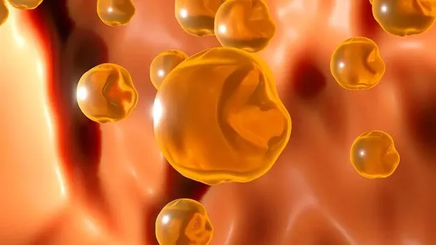 Cholesterol Effects: మంచి కొలెస్టరాల్, చెడు కొలెస్టెరాల్ మధ్య తేడా ఇదే