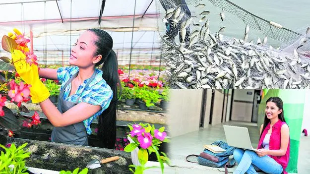 అగ్రి హార్టి ఫిషరీస్‌ డిప్లొమాలు