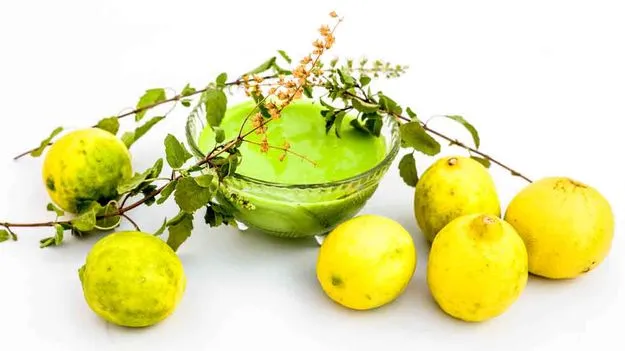 శిరోజాల కోసం తులసి