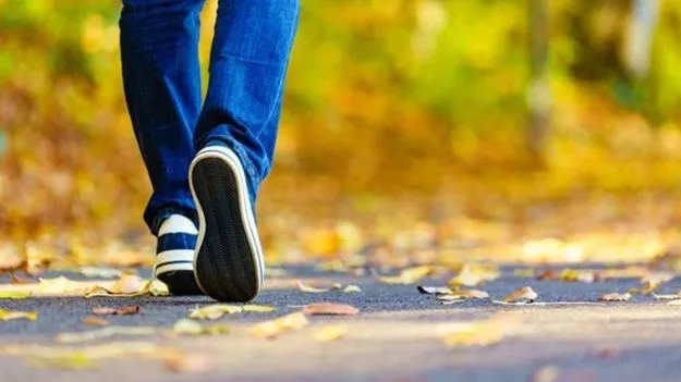 Insurance Fraud: ఇన్సూరెన్స్ డబ్బు కోసం రెండు కాళ్లూ పోగొట్టుకున్నాడు.. ఇదేం తెలివి బ్రో..