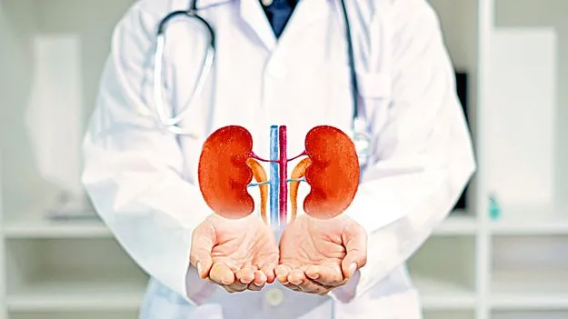 Health Treatments: ఆరోగ్యశ్రీలో 27%  కిడ్నీ చికిత్సలే!