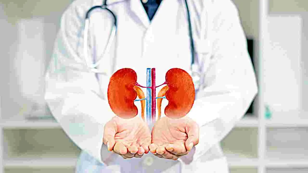 Health Treatments: ఆరోగ్యశ్రీలో 27%  కిడ్నీ చికిత్సలే!