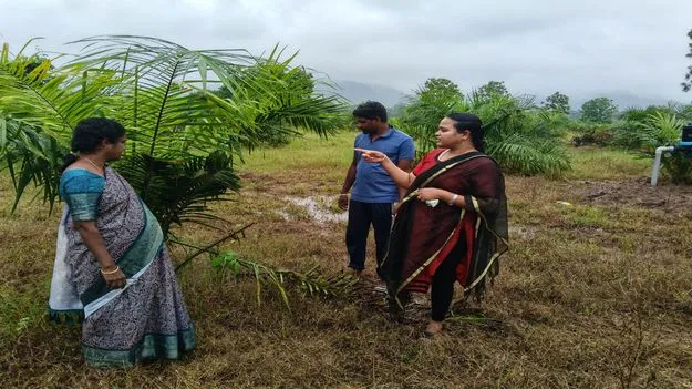   ఆయిల్‌ పామ్‌ సాగుతో రైతులకు అధిక లాభాలు