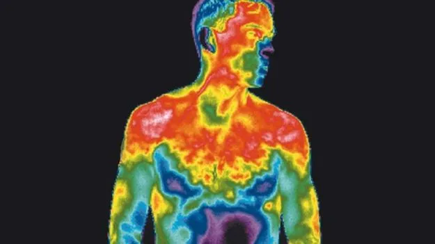 Human Body Heat: శరీరంలో టెంపరేచర్‌కు ఓ లిమిట్.. ఈ లక్ష్మణ రేఖ దాటితే.. 