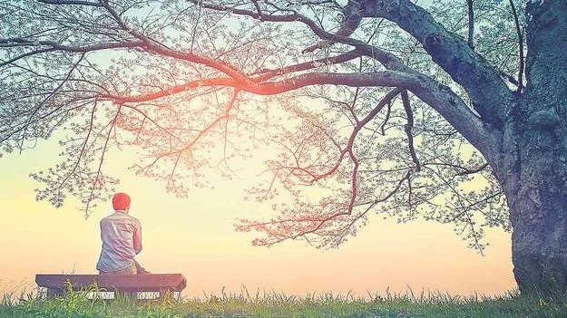 Successful Life: జీవితం సఫలం కావాలంటే
