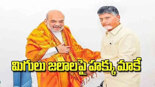 CM chandrababu: మిగులు జలాలపై  హక్కు మాకే