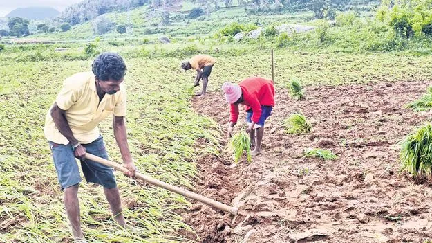 అన్నదాతకు సర్కారు సాయం!