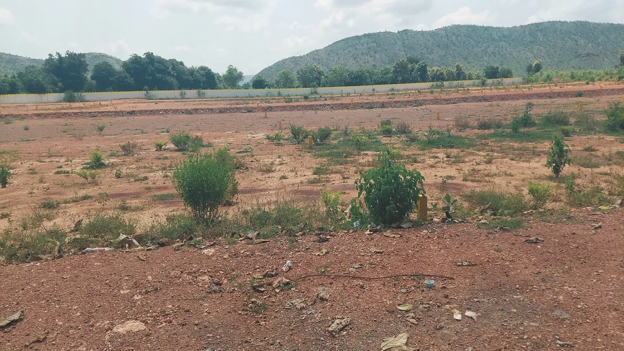 కన్వర్షన లేకుండానే భూ విక్రయాలు