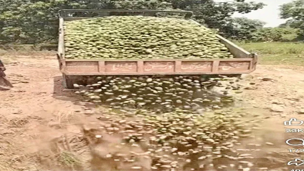 కష్టం.. నష్టం