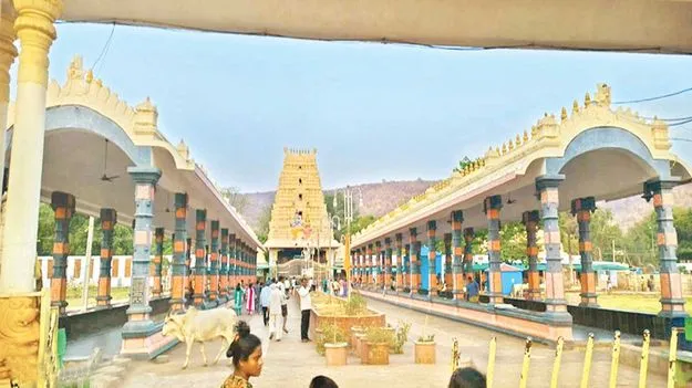 నేను మోనార్క్‌ను..!