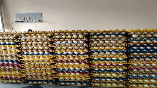 కొండెక్కిన గుడ్డు