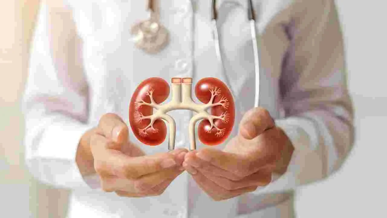 Kidney Transplantation: కిడ్నీ మార్పిడి కేసులో మరో ఇద్దరి అరెస్టు 