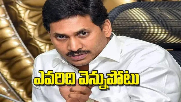 AP Assembly Elections 2024: ఎవరిది వెన్నుపోటు