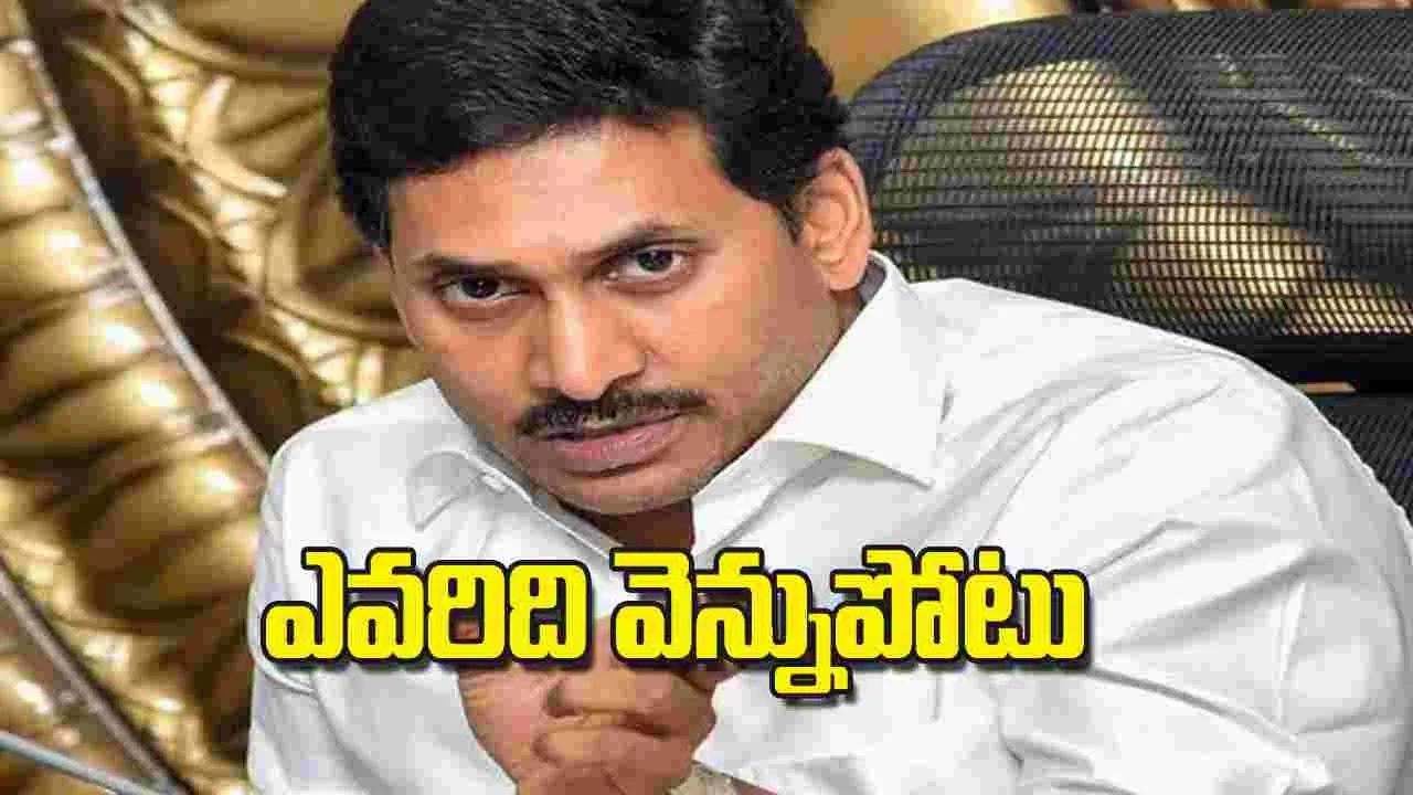 AP Assembly Elections 2024: ఎవరిది వెన్నుపోటు