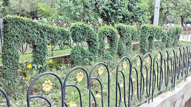  శ్రీవారి క్షేత్రంలో పచ్చదనం 