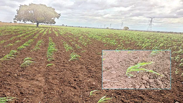 వానా.. నీ జాడ ఎక్కడ?