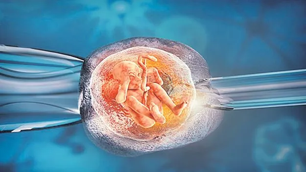 Fertility Centers: ఫర్టిలిటీ కేంద్రాల్లో తనిఖీలు!