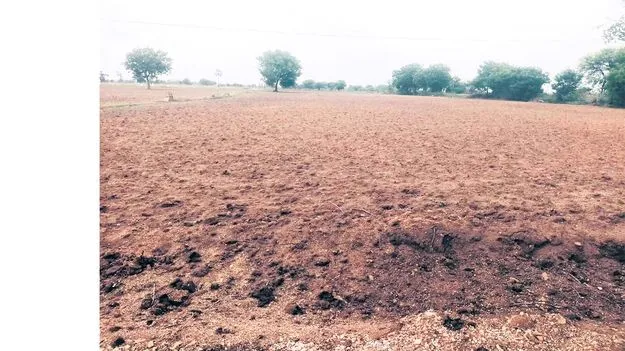 కౌలు వేలం రద్దుతో గందరగోళం