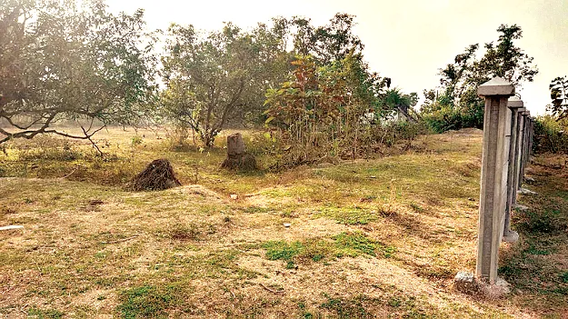 Steps towards 'Sports Development' ‘క్రీడా వికాస’ం వైపు అడుగులు