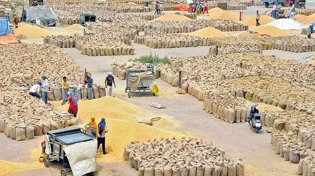 యాసంగి ధాన్యం టెండర్లు రద్దు