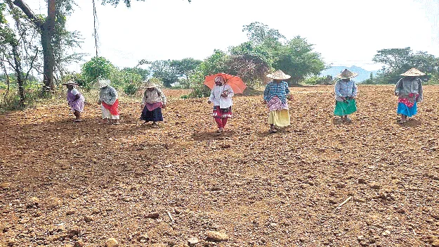 అదును దాటిపోతుందని..