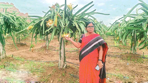 సబ్సిడీ పథకాలను వినియోగించుకోవాలి