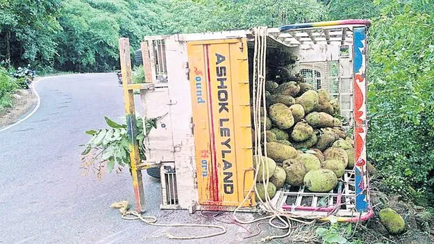 పాడేరు ఘాట్‌లో వ్యాన్‌ బోల్తా