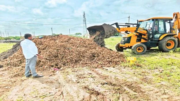 మిరప మట్టిపాలు