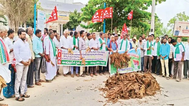 ప్రభుత్వమే పొగాను కొనాలి  