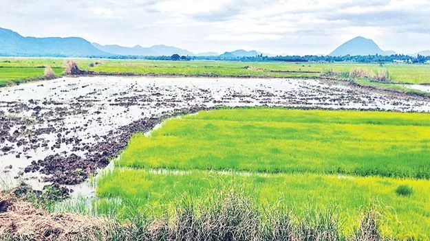 ఉత్సాహంగా ఖరీఫ్‌