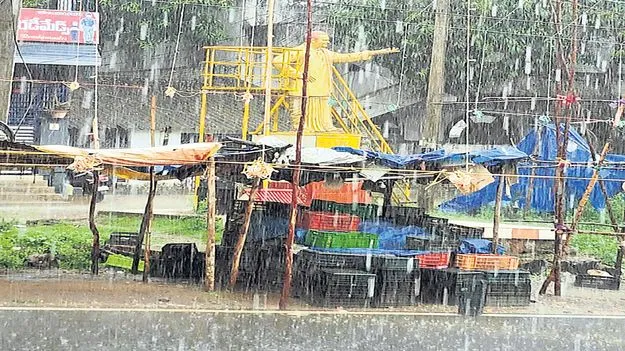 వీడని వాన