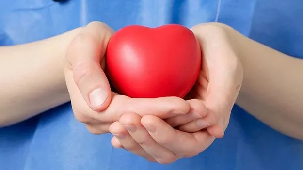 Organ Donation: అవయవ దానంలో తెలంగాణ టాప్
