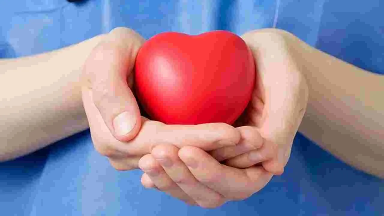 Organ Donation: అవయవ దానంలో తెలంగాణ టాప్‌