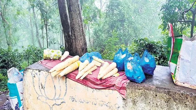 లంబసింగిలో ట్రైబల్‌ హోం స్టే టూరిజం