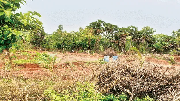 Fake land documents : నకిలీ పట్టాలతో.. ప్రభుత్వ భూమి హాంఫట్‌