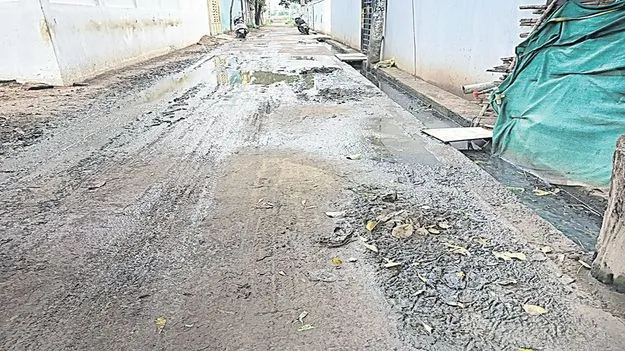 కానరాని పారిశుధ్యం