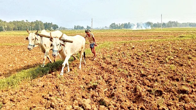 Annadāta sukhībhava: వివరాలు నమోదు కావట్లే!