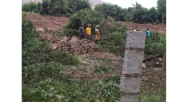 దిక్కు తోచక.. నష్టాలు భరించలేక! 